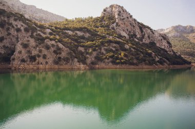 Pastoral yaz manzarası ile dağ gölü Alpleri'nde temizleyin.