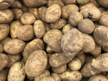 Büyük patates yumrular sayaçta