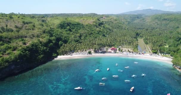 Manta Körfezi veya Kelingking Sahili Nusa Penida Adası, Bali, Endonezya — Stok video