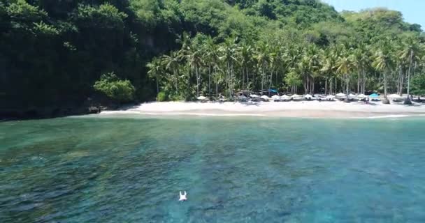 Manta Bay eller Kelingking Beach på Nusa Penida Island, Bali, Indonesien — Stockvideo