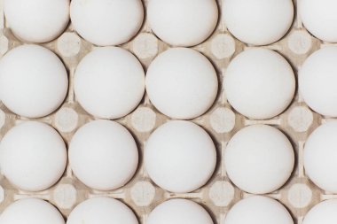 Birkaç beyaz yumurta bir yumurta kartonu.