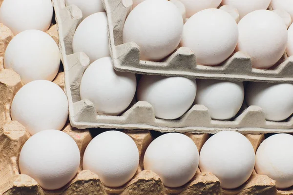 Vários ovos brancos em uma caixa de ovos . — Fotografia de Stock