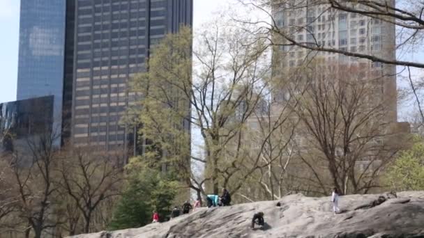 New york, New york, Usa. 2. září 2016: central park v new Yorku — Stock video