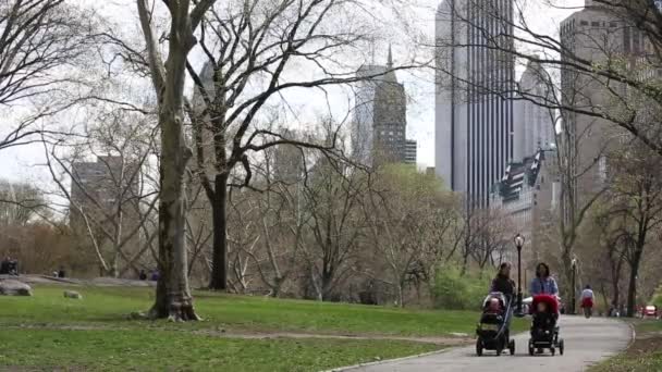 New york, New york, Usa. 2. září 2016: central park v new Yorku — Stock video