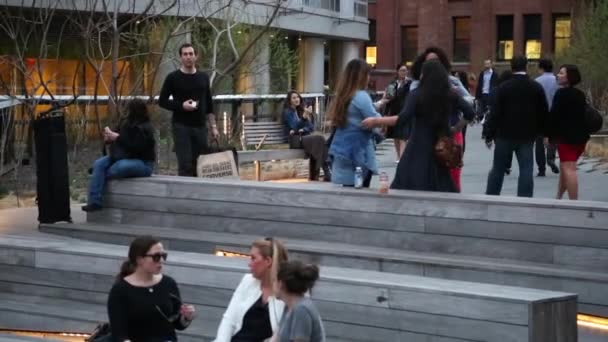 New york, New york,Usa. September 2th, 2016: New York City High Line night in New York City. — Stock Video