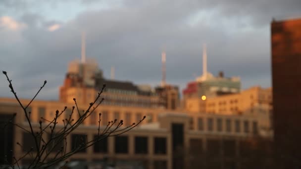 New york, New york, Usa. 2. září 2016: noc New York City High Line v New York City. — Stock video