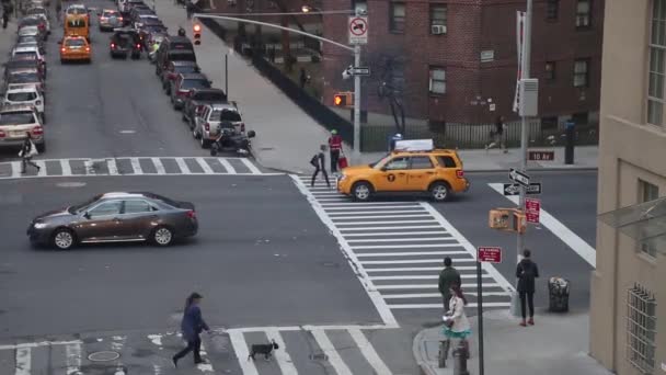 New york, New york, Usa. September 2, 2016: nacht van de New York City High Line in New York City. — Stockvideo