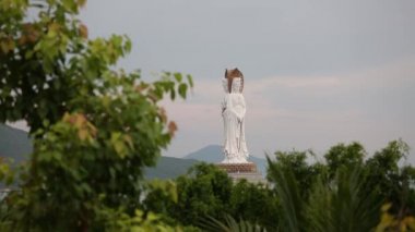 Kırmızı kedi tutan güzel genç kadın.