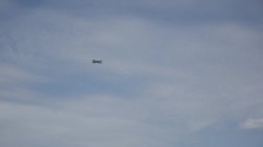 Kırmızı kedi tutan güzel genç kadın.