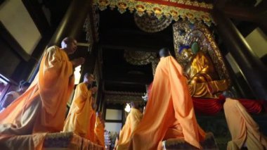 Kırmızı kedi tutan güzel genç kadın.