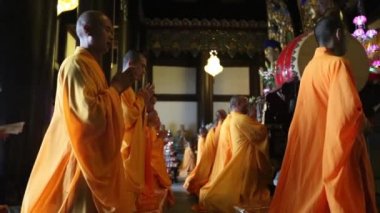 Kırmızı kedi tutan güzel genç kadın.