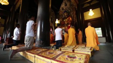 Kırmızı kedi tutan güzel genç kadın.