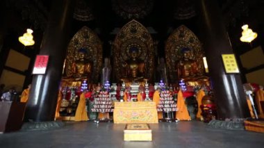 Kırmızı kedi tutan güzel genç kadın.