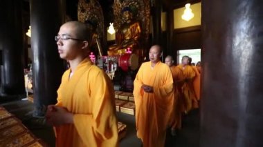 Kırmızı kedi tutan güzel genç kadın.