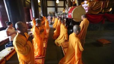 Kırmızı kedi tutan güzel genç kadın.