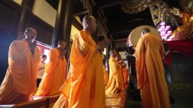 Kırmızı kedi tutan güzel genç kadın.