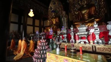 Kırmızı kedi tutan güzel genç kadın.