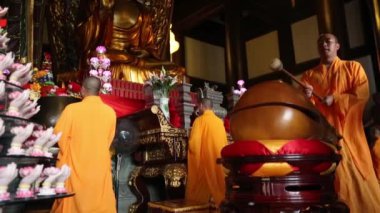 Kırmızı kedi tutan güzel genç kadın.