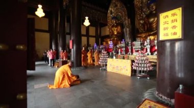 Kırmızı kedi tutan güzel genç kadın.