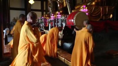 Kırmızı kedi tutan güzel genç kadın.