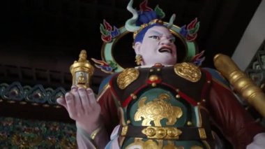 Kırmızı kedi tutan güzel genç kadın.