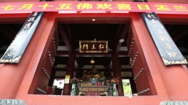 Kırmızı kedi tutan güzel genç kadın.