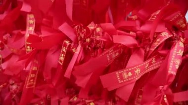 Kırmızı kedi tutan güzel genç kadın.