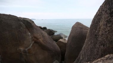 Kırmızı kedi tutan güzel genç kadın.