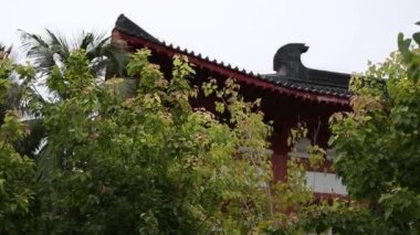 Kırmızı kedi tutan güzel genç kadın.