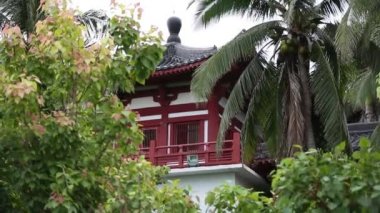 Kırmızı kedi tutan güzel genç kadın.