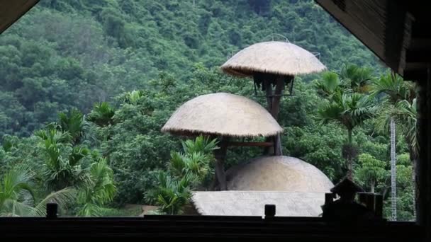 Maison en bois dans les bois — Video