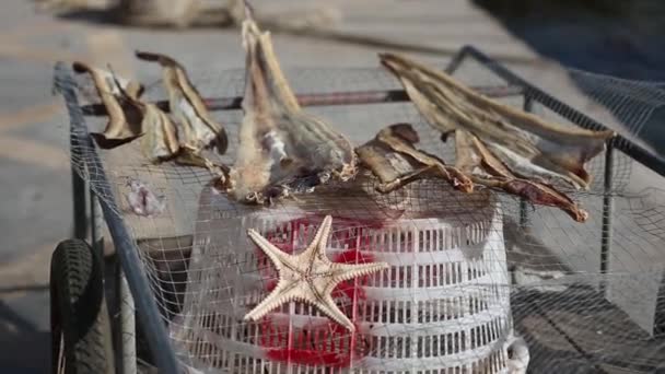 Tenger gyümölcsei száraz onnet a halász kikötő közelében. — Stock videók