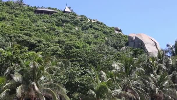 Holzhaus im Tal. Blumen. Stein schneebedeckten Bergen. Jahrgang — Stockvideo