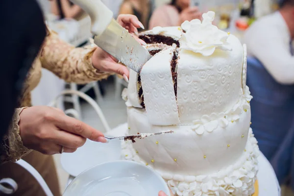 Bride and groom cutting their wedding cake — Stock Photo, Image