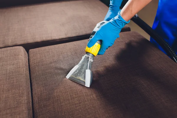 Sofa chemical cleaning with professionally extraction method. Upholstered furniture. Early spring cleaning or regular clean up. Dry cleaners in light blue protective glove employee removing dirt from — Stock Photo, Image