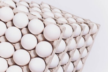 Beyaz yumurta tavuk zararsız, karton ambalaj üzerinde beyaz bir arka plan olarak. 5 paketleri.