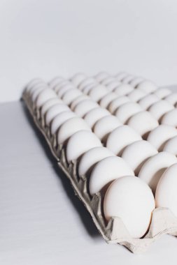 Zararsız bir tavuğun beyaz yumurtaları, beyaz bir arka planda karton paketler..