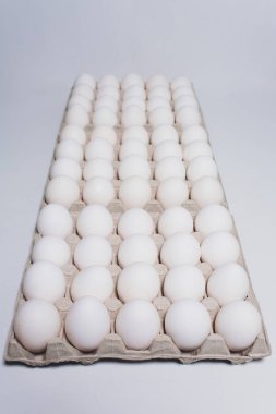 Zararsız bir tavuğun beyaz yumurtaları, beyaz bir arka planda karton paketler..
