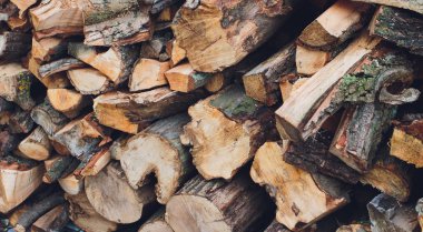 Kış için odun, yakacak odun yığını, yakacak odun yığını.