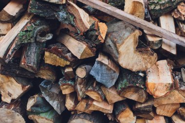 Kış için odun, yakacak odun yığını, yakacak odun yığını.