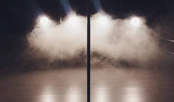 Einrichtung Eines Modernen Tanzstudios Nur Für Pole Dance — Stockfoto