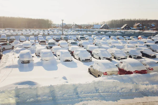 Vista aérea carros novos alinhados no porto para importação e exportação. inverno . — Fotografia de Stock