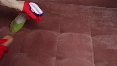 Güzel genç kadın gülümseyerek, kanepe evi temizlerken bir fırça ve bir sprey kullanarak.