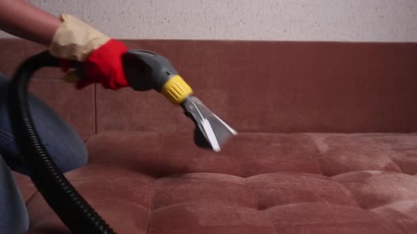 Sofa Chemical Cleaning Professionally Extraction Method Upholstered Furniture Early Spring — Stock Video