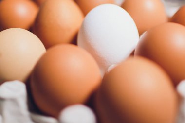 Boş alan, arka plan ile bir karton kutu içinde ters kırmızı beyaz tavuk yumurta.