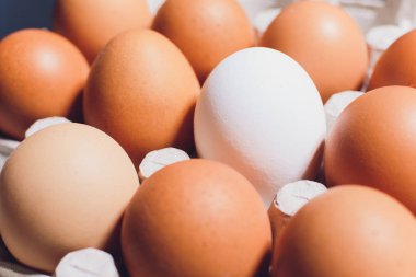 Boş alan, arka plan ile bir karton kutu içinde ters kırmızı beyaz tavuk yumurta.