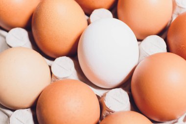 Boş alan, arka plan ile bir karton kutu içinde ters kırmızı beyaz tavuk yumurta.