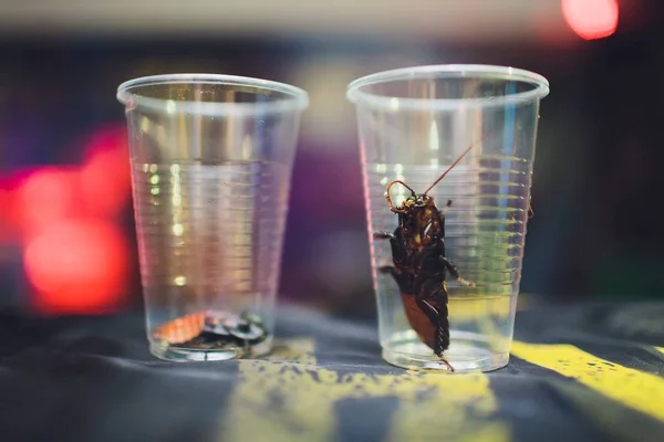Kackerlackor som dör i ett glas vatten på ett bord. — Stockfoto