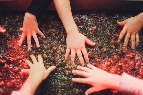 Piedras marrones en manos de los niños sangrado de agua . —  Fotos de Stock