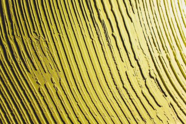 Neon canlı sarı yeşil grungy duvar doku. Daha fazla daha fazla arka benim liman bu motifi.